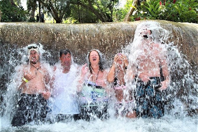 Dunn's River Falls & Nine Mile Tour - Image 2